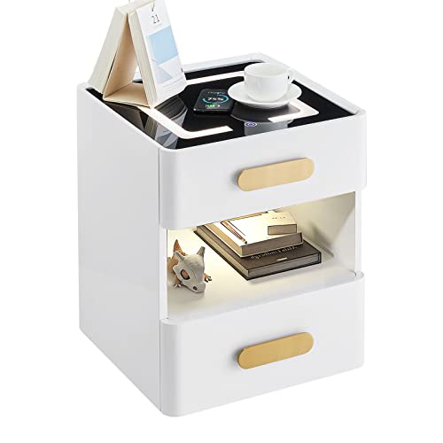 CLIPOP 1 x Nachttisch Weiß,Kabelloses Ladefunktion Nachtschrank mit 2 Schubladen Nachtkästchen mit LED Beleuchtung Intelligentes Sensorlicht Nachtkommode Beistelltisch Sofatisch von CLIPOP