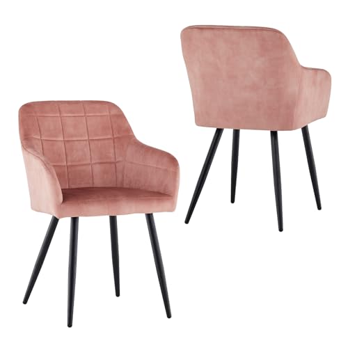 CLIPOP Esszimmerstühle 2er Set Stühle mit Armlehne, Samt Bezug, Esszimmerstuhl Küchenstuhl Polsterstuhl, Stühle für Esszimmer (2, Samt Rosa) von CLIPOP