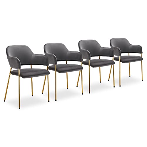 CLIPOP Esszimmerstühle Samt Gepolsterte Küche Freizeit Stühle mit Armlehne und Golden Chrom Beinen, Lounge Empfang Stuhl für Zuhause Wohnzimmer Schlafzimmer (4er Set, Grau) von CLIPOP