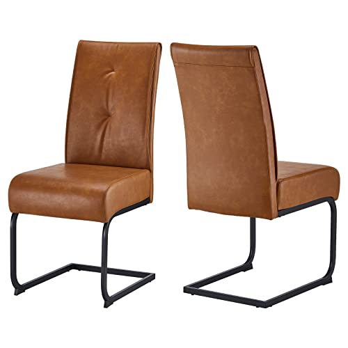 CLIPOP Freischwinger Esszimmerstühle 2er Set Moderne Hohe Rückenlehne Dick Gepolstert Empfangsstühle mit stabilen Chrombeinen für Esszimmer Wohnzimmer und Konferenzraum von CLIPOP