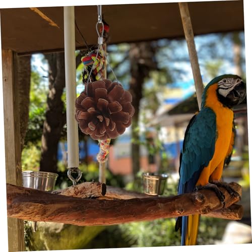 CLISPEED 10 Stück Teiliges Papageien aus Natürlichem Langlebiges Kauspielzeug mit Geräuschfunktion Hängendes Knabber für Wellensittiche und Andere Vögel von CLISPEED