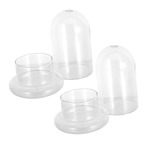 CLISPEED 2 Stück Landschafts Glasflasche aus Robustem Borosilikatglas mit Ökologische DIY Moos Terrariumflasche für Pflanzen Dekoration für Zuhause und Büro Langlebig und Bruchsicher von CLISPEED
