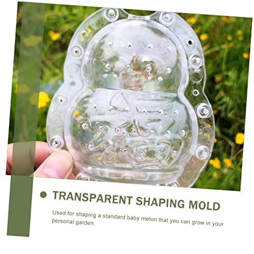 CLISPEED 2 Stück Teiliges Transparentes Melonen Formset Multifunktionale Obstform mit Niedlichem Design Hohe Zugfestigkeit zur Formgebung Wachsender Früchte Geeignet für Familien und von CLISPEED