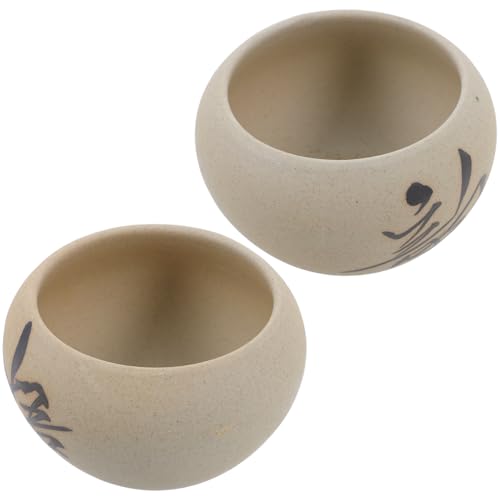 CLISPEED 2 Stücke Saftiger Blumentopf Garten Pflanzentopf Schreibtisch Anlage Blumentopf für Zuhause Ton Weg Kleiner Blumenpot Blumenkinderbehälter Sukkulenten Pflanzen Topf Hellbraun von CLISPEED