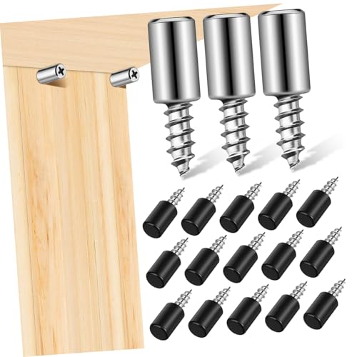CLISPEED 20 Stück Teiliges Regalbodenträger Schraubenset aus Robustem Eisen mit Kunststoffhülsen Selbstschneidend Passend für Holzregale Stabile Einlegebodenhalterung Einfache Montage von CLISPEED