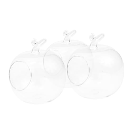 CLISPEED 3 Stück Teiliges Hydroponische Glasflaschen Apfelförmige Transparente Pflanzgefäße für Hydrokultur Dekorative Tischvasen für Innenräume Nachhaltige Mikro Landschaft für Wohn und CLISPEED 3 Stück Teiliges Hydroponische Glasflaschen Apfelförmige Transparente Pflanzgefäße für Hydrokultur Dekorative Tischvasen für Innenräume Nachhaltige Mikro Landschaft für Wohn und von CLISPEED