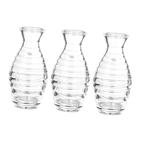CLISPEED 3stücke Aromatherapie Diffusorflaschen Aus Glas Weithals-Flaschen Für Ätherische Öle Duftstoffe Und Parfums Dekorative Aufbewahrung Für Reisen Und Zuhause CLISPEED 3stücke Aromatherapie Diffusorflaschen Aus Glas Weithals-Flaschen Für Ätherische Öle Duftstoffe Und Parfums Dekorative Aufbewahrung Für Reisen Und Zuhause von CLISPEED