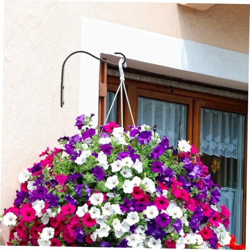 CLISPEED 4 Sätze Wandhalter Blumenampel aus Schwarzem Eisen Rostbeständig Gebogenes Design für Balkon und Garten Stabiler Halter für Blumentöpfe Laternen Vogelhäuser und Windspiele CLISPEED 4 Sätze Wandhalter Blumenampel aus Schwarzem Eisen Rostbeständig Gebogenes Design für Balkon und Garten Stabiler Halter für Blumentöpfe Laternen Vogelhäuser und Windspiele von CLISPEED