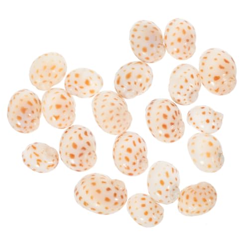 CLISPEED 40 Stück Natürliche Kleine Conch Muscheln Aquarium Dekoration DIY Landschaftsbau Feine Meeresschnecken für Gartenteich Fischaquarium Bastelbedarf von CLISPEED