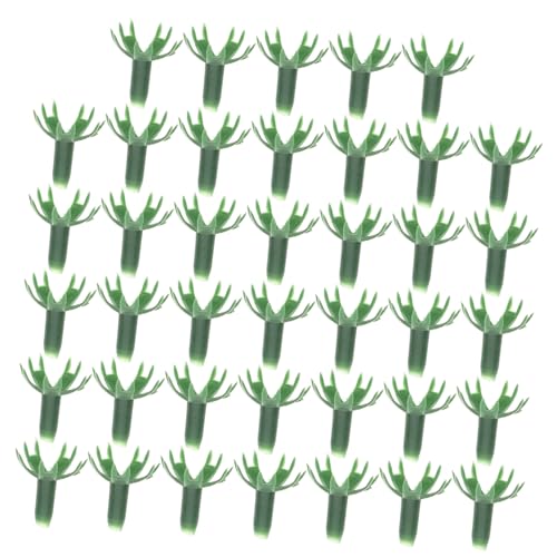 CLISPEED 40 Stück Robuste Plastikteile für DIY Kunstblumen für Hochzeitsdekoration Floristik und Kreative Projekte mit Stabilem Standfuß CLISPEED 40 Stück Robuste Plastikteile für DIY Kunstblumen für Hochzeitsdekoration Floristik und Kreative Projekte mit Stabilem Standfuß von CLISPEED