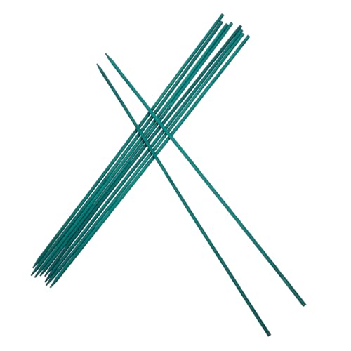 CLISPEED 50 Stück Grüne Pflanzenstützstäbe Leichte Pflanzenstützen für Garten Kletterpflanzen und Blumenarrangements Glatte Oberfläche Praktische Halterungen für Gesundes Pflanzenwachstum CLISPEED 50 Stück Grüne Pflanzenstützstäbe Leichte Pflanzenstützen für Garten Kletterpflanzen und Blumenarrangements Glatte Oberfläche Praktische Halterungen für Gesundes Pflanzenwachstum von CLISPEED