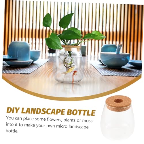 CLISPEED Bryophyte Ökologische Glasflasche Wasserpflanzen DIY Hydroponik Flaschengarten Dekoration Wohnzimmer Büro Terrarium Glasbehälter Groß von CLISPEED