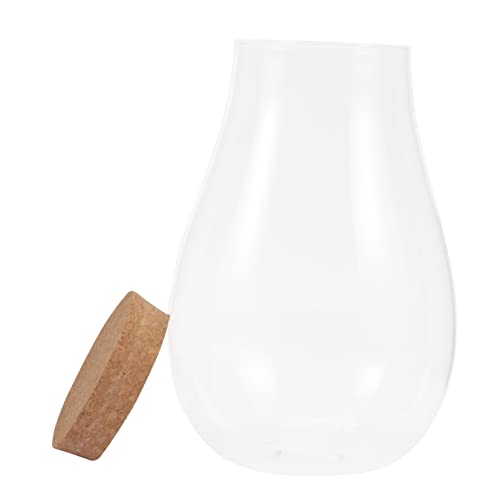CLISPEED Dekorativer Ökologischer Flaschenbehälter für DIY Mikrolandschaften Glasflasche mit Holzdeckel für Pflanzen und Blumen als Tischornament für Drinnen und Draußen CLISPEED Dekorativer Ökologischer Flaschenbehälter für DIY Mikrolandschaften Glasflasche mit Holzdeckel für Pflanzen und Blumen als Tischornament für Drinnen und Draußen von CLISPEED