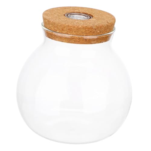 CLISPEED Glas-Terrarium mit Led-licht Kleines Hydroponisches Glasgefäß Rundes Desktop-Pflanzen-Propagation-Glas mit Korkverschluss Luftdichtes Terrarium für Büro Wohnraumdekoration von CLISPEED