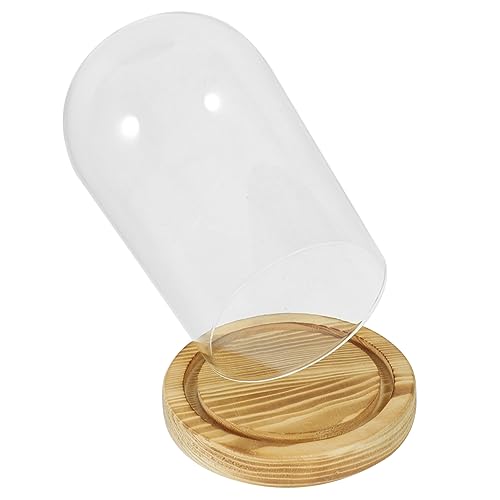 CLISPEED Glasglocke mit Holzsockel Transparente Staubdichte Glasglocke als Dekorativer Display Dome Multifunktionale Vitrine für Figuren Pflanzen Festliche Tischdeko und Wohnraumgestaltung CLISPEED Glasglocke mit Holzsockel Transparente Staubdichte Glasglocke als Dekorativer Display Dome Multifunktionale Vitrine für Figuren Pflanzen Festliche Tischdeko und Wohnraumgestaltung von CLISPEED