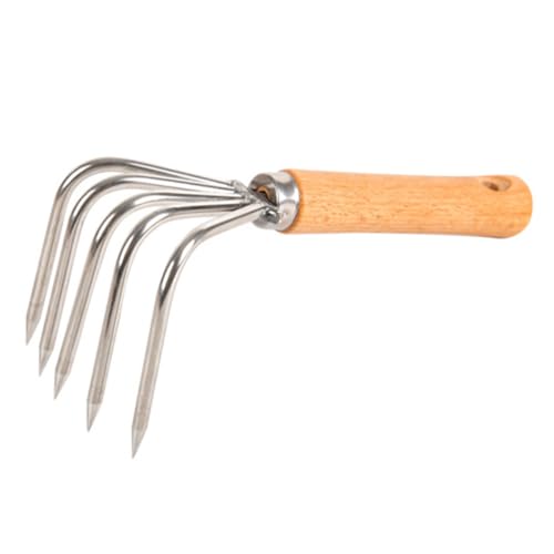 CLISPEED Handrechen mit Holzgriff Langlebig und rutschfest für Muschelsuche Am Strand Grabwerkzeug für Austern Krebse und Meerestiere Leichtes Handgrubber für Bodenlockerung CLISPEED Handrechen mit Holzgriff Langlebig und rutschfest für Muschelsuche Am Strand Grabwerkzeug für Austern Krebse und Meerestiere Leichtes Handgrubber für Bodenlockerung von CLISPEED