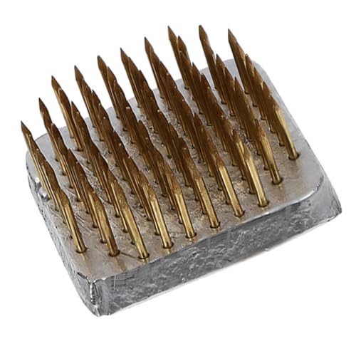 CLISPEED Japanischer Blumensteckhalter aus Robustem Langlebiges DIY Blumenarrangement Werkzeug Präziser Blumenteilhalter für Stabile Pflanzennadeln für Ikebana und Blumen Dekorationen CLISPEED Japanischer Blumensteckhalter aus Robustem Langlebiges DIY Blumenarrangement Werkzeug Präziser Blumenteilhalter für Stabile Pflanzennadeln für Ikebana und Blumen Dekorationen von CLISPEED