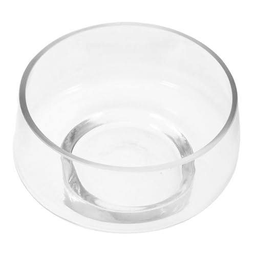 CLISPEED Klare Glasvase mit Großem Öffnungsdesign für Moos und Sukkulenten Transparente Dekorative Pflanzschale als Mikrolandschaft für Innenraum und Tischdekoration von CLISPEED