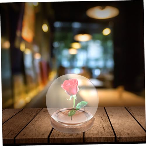 CLISPEED Klares Glasglocke Terrarium mit Holzsockel Transparentes Display Dome für Ewige Blumen Staubdichtes Mikro Landschaftsvase Dekoratives Sammlerstück für Tischdekoration von CLISPEED