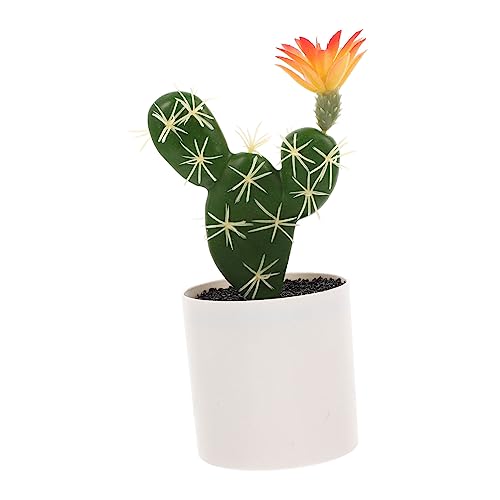 CLISPEED Künstlicher Cactus Bonsai Dekoration Miniatur Simulation Topfpflanze Pflegeleicht Langlebig für Wohnzimmer Büro Regal Schreibtisch Zubehör von CLISPEED