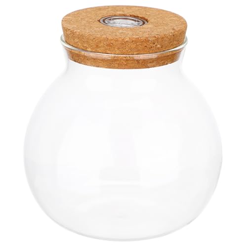 CLISPEED LED Glasflasche mit LED Licht Zylindrische Ökologische Microlandschafts Vase Transparente DIY Flaschengarten Dekoration Klare Sicht Vielseitig für Pflanzen und Aquarien Geeignet CLISPEED LED Glasflasche mit LED Licht Zylindrische Ökologische Microlandschafts Vase Transparente DIY Flaschengarten Dekoration Klare Sicht Vielseitig für Pflanzen und Aquarien Geeignet von CLISPEED