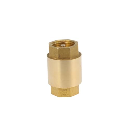 CLISPEED Messing Inline Rückschlagventil für Wasser Luft Öl Langlebiger Backflow Kupplungsanschluss Robust für Automotive Industrie Anwendungen CLISPEED Messing Inline Rückschlagventil für Wasser Luft Öl Langlebiger Backflow Kupplungsanschluss Robust für Automotive Industrie Anwendungen von CLISPEED