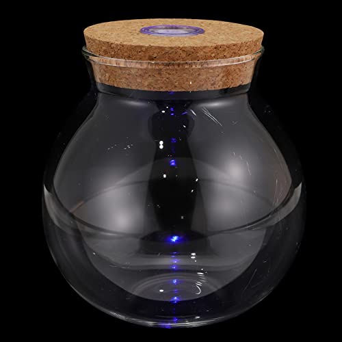 CLISPEED Micro Landscape DIY Terrarium Flasche Transparente Glasflasche für Kreative Pflanzenlandschaften Geeignet für Innen und Außendekoration mit LED Beleuchtung CLISPEED Micro Landscape DIY Terrarium Flasche Transparente Glasflasche für Kreative Pflanzenlandschaften Geeignet für Innen und Außendekoration mit LED Beleuchtung von CLISPEED