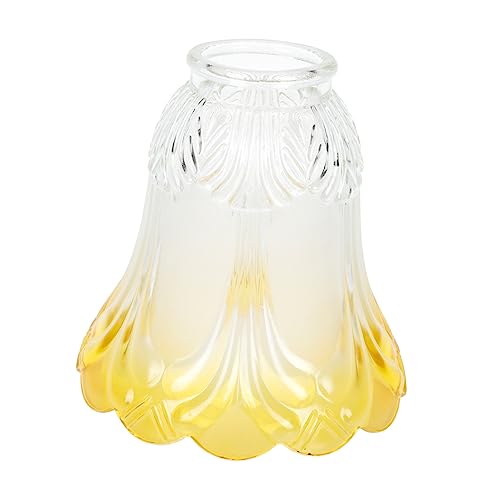 CLISPEED Moderner Mattierter Glasschirm für Pendelleuchte Ersatzlampenschirm für Deckenleuchte Kompatibel Staubschützend Elegant Geeignet für Wohnzimmer Schlafzimmer Büro und Hotelbereiche von CLISPEED