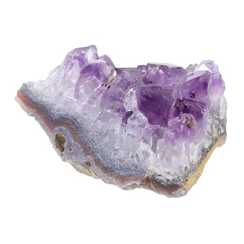 CLISPEED Natürlicher Amethyst Kristallcluster ca Unregelmäßig Geformt Kraftvolle Steinenergie Meditationsfördernd Dekorativ für Aquarium Garten Schreibtisch Stilvolles DIY Zubehör CLISPEED Natürlicher Amethyst Kristallcluster ca Unregelmäßig Geformt Kraftvolle Steinenergie Meditationsfördernd Dekorativ für Aquarium Garten Schreibtisch Stilvolles DIY Zubehör von CLISPEED
