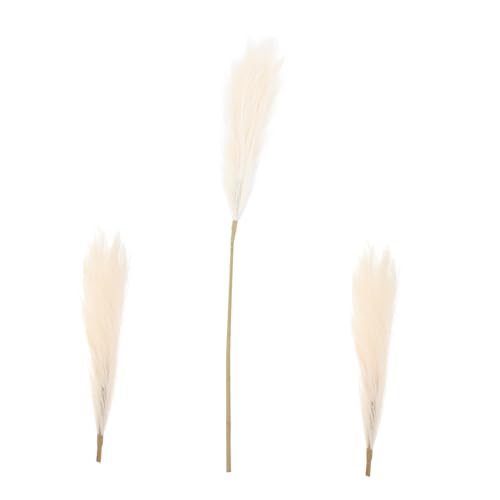 CLISPEED Pampasgras Dekoration Teiliger Realistischer Getrockneter Kunststrauß in Beige Vielseitig für Wohnzimmer Hochzeit Büro Rustikales Nordisches Wohnambiente Langlebig Pflegeleicht von CLISPEED