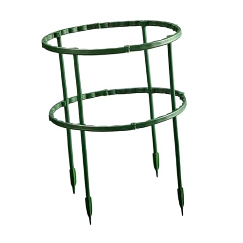 CLISPEED Pflanzenstütze Kletterhilfe Rankgitter Doppelstöckig aus Robustem Material für Orchideen Kletterrosen Zimmerpflanzen und Kleine Stängel für Garten und Balkon von CLISPEED