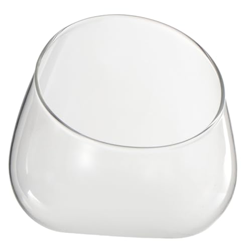 CLISPEED Schräg Geschnittener Terrarium Glasbehälter Transparente Ökologische Flasche für Pflanzen DIY Mikrolandschaft Vielseitiger Blumentopf und Aufbewahrung für Zuhause von CLISPEED