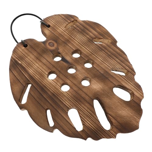 CLISPEED Sechseckige Halterung für Staghornfarn mit Monstera Wiederverwendbare Pflanzenhalterung für Vertikale im Wohn und Arbeitsbereich von CLISPEED