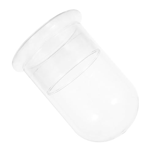 CLISPEED Terrarium Glasbehälter Ø Transparentes Ökosystempflanzen Glas DIY Pflanzenvermehrer für Indoor Garten Landschaft Gestaltung von CLISPEED