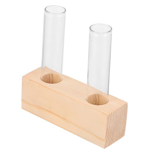 CLISPEED Transparente Hydroponische Vase mit Doppeltem Reagenzglas Design Kompakte Pflanzenterrarium für Zimmerpflanzen Dekorative Wasserpflanzen vermehrungsstation für Wohnzimmer und von CLISPEED
