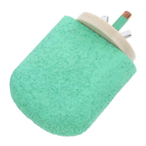 CLISPEED Vogelkäfig Zubehör Sitzstange mit Krallen Schleiffunktion Stabiler Papageien Sitzstand für Kleine Vögel Pflegeleichtes Multifunktionales Vogelspielzeug in Frischem Grün Einfach von CLISPEED