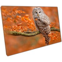 Herbst Orange Eiche Eule Leinwand Wand Kunst Druck - Waldtier Home Office Dekor von CLKPrintArt