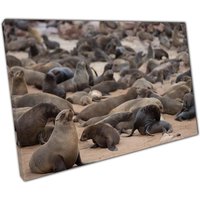 Robben Entspannen Am Sand Strand Wand Kunst Südafrika Leinwand Dekor Für Home Office von CLKPrintArt