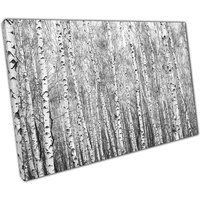 Schwarzweiß-Birkenwald - Leinwand Abstrakte Waldlandschaft Für Zuhause Und Im Büro Schwarzweiß-Birkenwald - Leinwand Abstrakte Waldlandschaft Für Zuhause Und Im Büro von CLKPrintArt