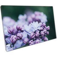 Serene Violet Lilac Floral Leinwanddruck - Elegante Wandkunst Für Das Zuhause Oder Büro Dekor Serene Violet Lilac Floral Leinwanddruck - Elegante Wandkunst Für Das Zuhause Oder Büro Dekor von CLKPrintArt