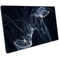 Transluzent Qualle Leinwand Wand Kunst Dark Ocean Sea Life Decor Home Office Bild Transluzent Qualle Leinwand Wand Kunst Dark Ocean Sea Life Decor Home Office Bild von CLKPrintArt