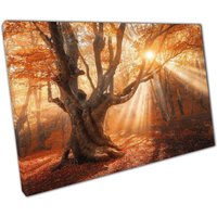 Verzauberte Waldsonnenstrahl Leinwand Herbstliche Waldszene Wandkunst Für Heim & Büro Dekor Verzauberte Waldsonnenstrahl Leinwand Herbstliche Waldszene Wandkunst Für Heim & Büro Dekor von CLKPrintArt