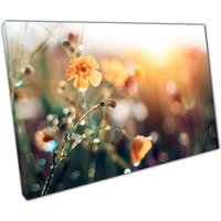 Zauberhafte Orange Wildblumen in Der Morgendämmerung Taubedeckte Frühlings-Sonnenaufgang Leinwand Für Zuhause & Im Büro von CLKPrintArt