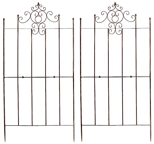 CLP 2er Set Eisen-Rankgitter Paula Im Rustikalen Landhausstil I Rankzaun Mit Stilvollen Verzierungen, Farbe:Bronze CLP 2er Set Eisen-Rankgitter Paula Im Rustikalen Landhausstil I Rankzaun Mit Stilvollen Verzierungen, Farbe:Bronze von CLP