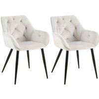 CLP - 2er Set Esszimmerstühle Cassis Samtbezug hellgrau Samt von CLP