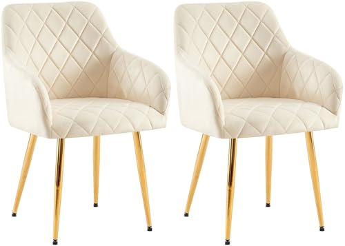 CLP 2er Set Esszimmerstühle Monett I Polsterstühle mit Samtbezug I Küchenstühle mit stabilem Metallgestell, Farbe:Creme, Material Gestell:Metall Gold CLP 2er Set Esszimmerstühle Monett I Polsterstühle mit Samtbezug I Küchenstühle mit stabilem Metallgestell, Farbe:Creme, Material Gestell:Metall Gold von CLP