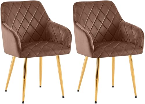 CLP 2er Set Esszimmerstühle Monett I Polsterstühle mit Samtbezug I Küchenstühle mit stabilem Metallgestell, Farbe:braun, Material Gestell:Metall Gold CLP 2er Set Esszimmerstühle Monett I Polsterstühle mit Samtbezug I Küchenstühle mit stabilem Metallgestell, Farbe:braun, Material Gestell:Metall Gold von CLP