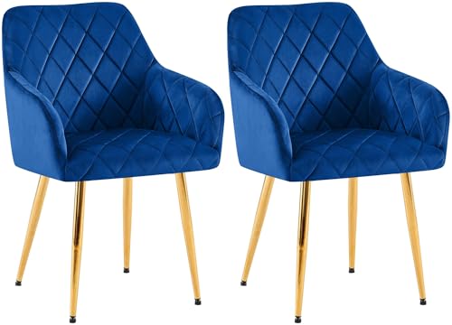 CLP 2er Set Esszimmerstühle Monett I Polsterstühle mit Samtbezug I Küchenstühle mit stabilem Metallgestell, Farbe:dunkelblau, Material Gestell:Metall Gold CLP 2er Set Esszimmerstühle Monett I Polsterstühle mit Samtbezug I Küchenstühle mit stabilem Metallgestell, Farbe:dunkelblau, Material Gestell:Metall Gold von CLP