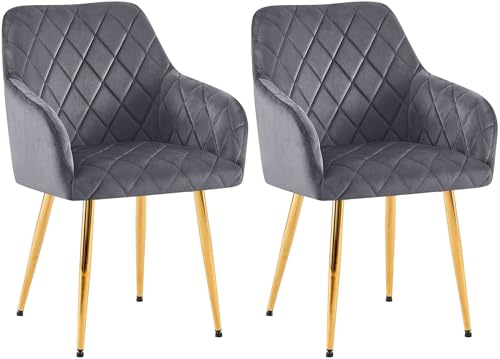 CLP 2er Set Esszimmerstühle Monett I Polsterstühle mit Samtbezug I Küchenstühle mit stabilem Metallgestell, Farbe:dunkelgrau, Material Gestell:Metall Gold CLP 2er Set Esszimmerstühle Monett I Polsterstühle mit Samtbezug I Küchenstühle mit stabilem Metallgestell, Farbe:dunkelgrau, Material Gestell:Metall Gold von CLP