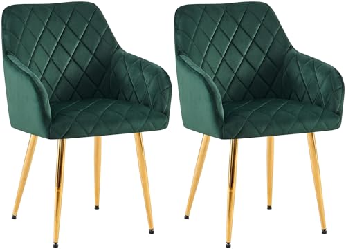 CLP 2er Set Esszimmerstühle Monett I Polsterstühle mit Samtbezug I Küchenstühle mit stabilem Metallgestell, Farbe:grün, Material Gestell:Metall Gold von CLP